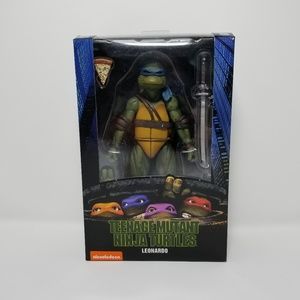 Teenage Mutant Ninja Turtle Action Figure
